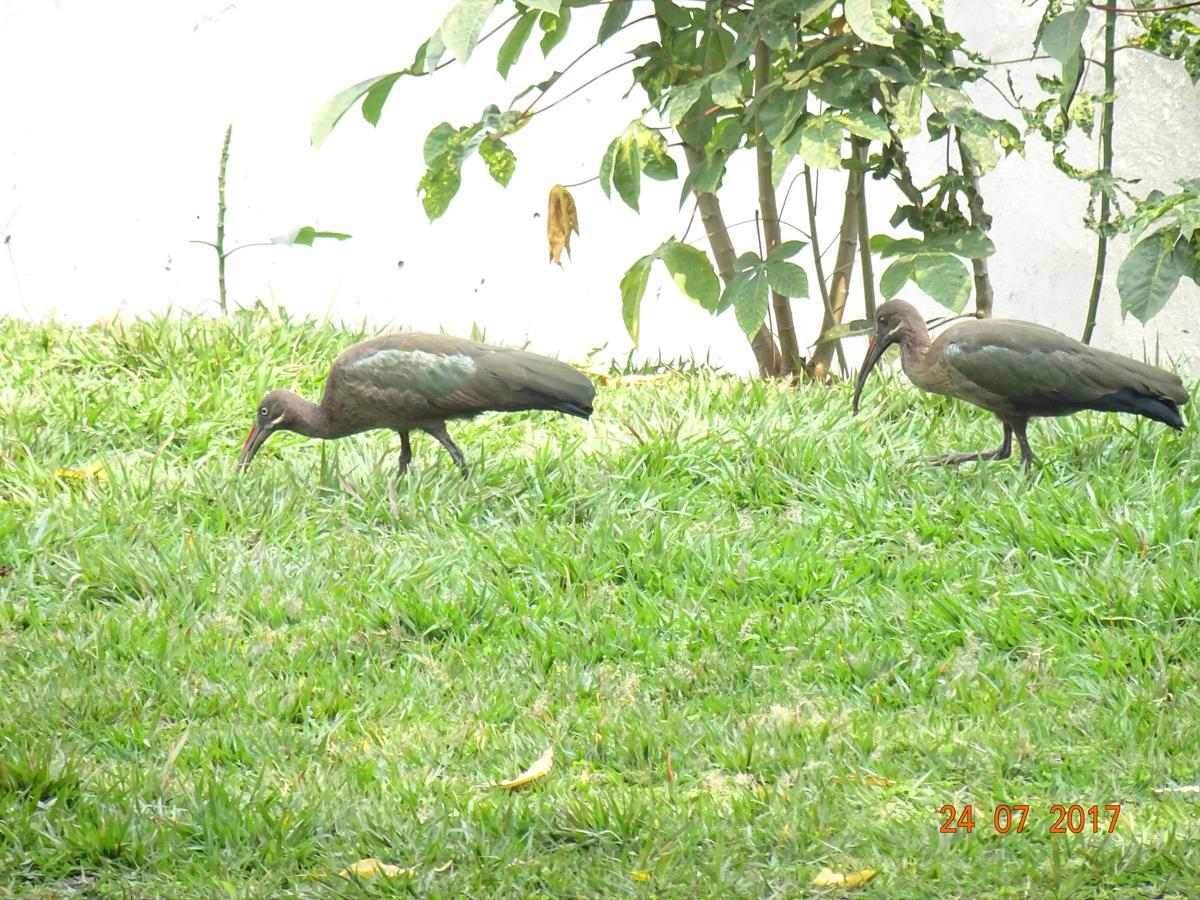 Kivu Beach Garden Gisenyi Ngoại thất bức ảnh